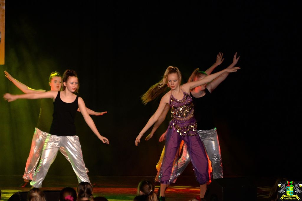 ../Images/Dansmarieke festival 2018 361.jpg